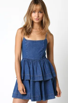 Blakely Denim Mini Dress