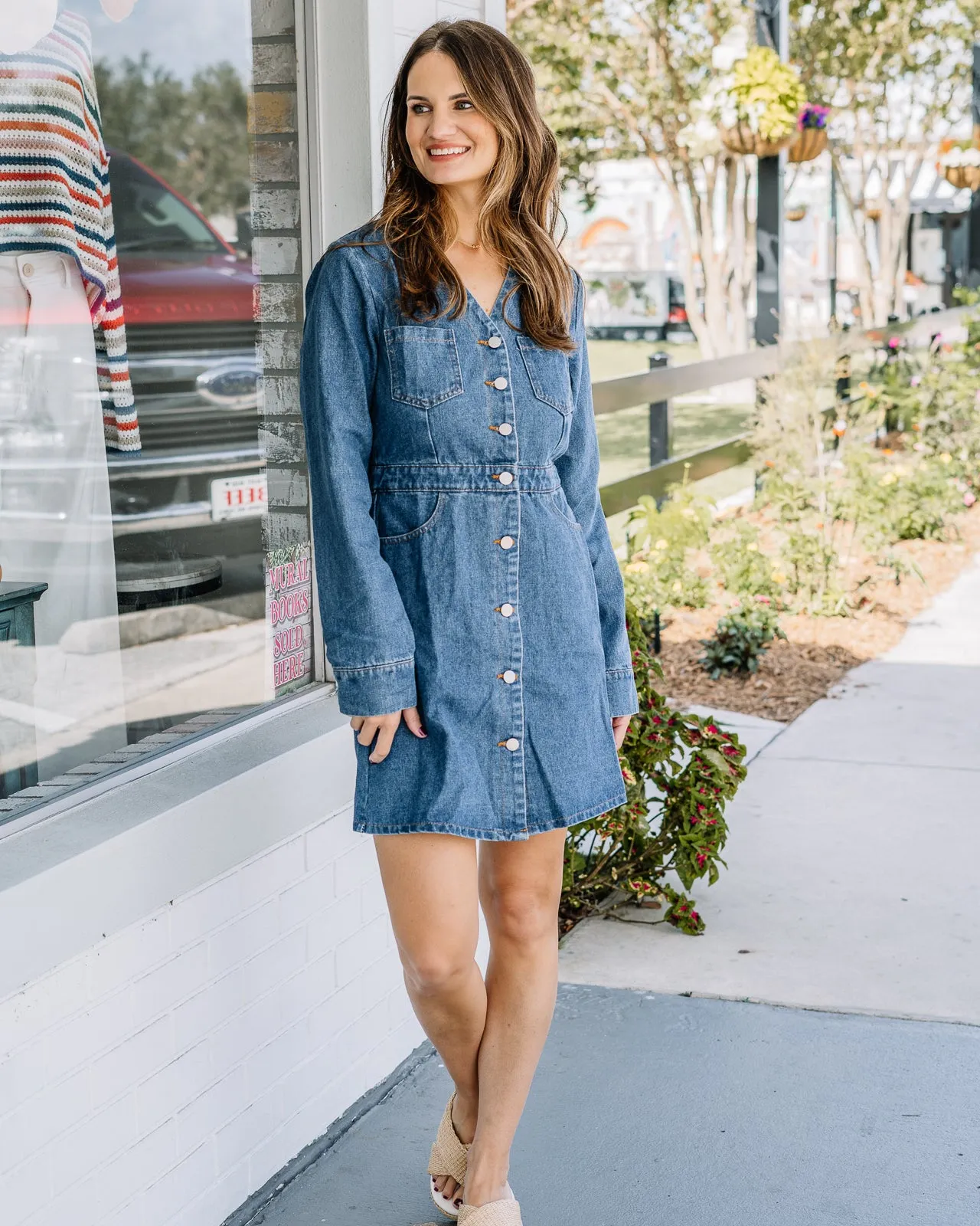 Dally Denim Dress