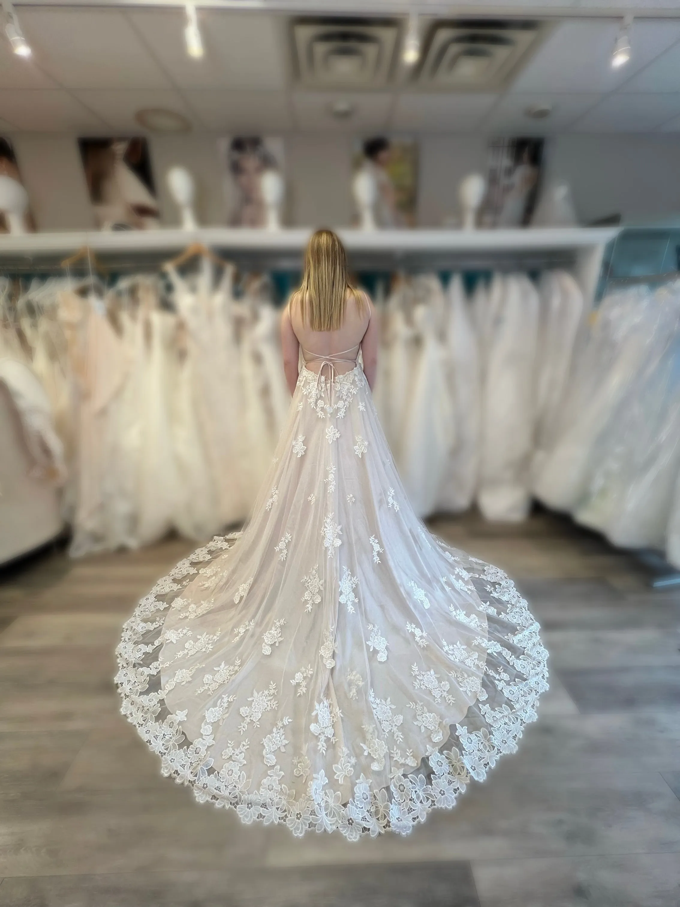 Lillian West 66045 Wedding Dress Sample
